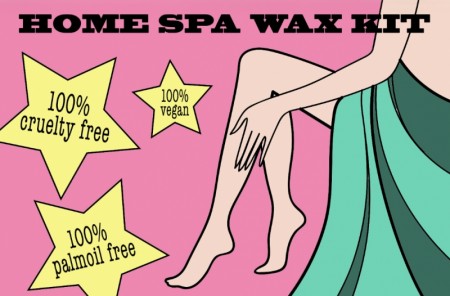 Home Spa Wax Kit