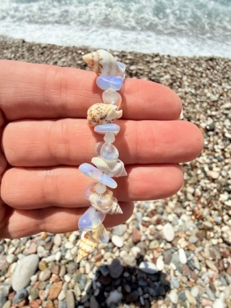 Koraller og månesten 